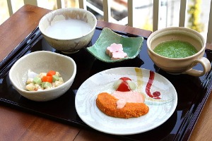中央フードサービス_ソフト食_練りもの