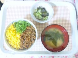 ワイエムフーズ_事業所_ランチメニュー